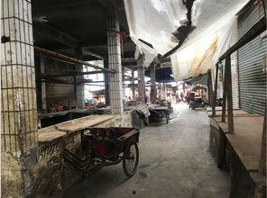 南门菜市场最新爆料,最新爆料揭秘市场新面貌