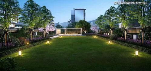 开封小学生最新爆料电话,揭秘校园电话背后的秘密