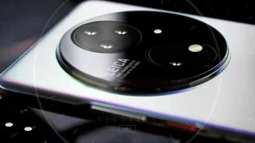 华为mate50最新爆料汇总,性能升级、设计革新，揭秘未来旗舰新篇章