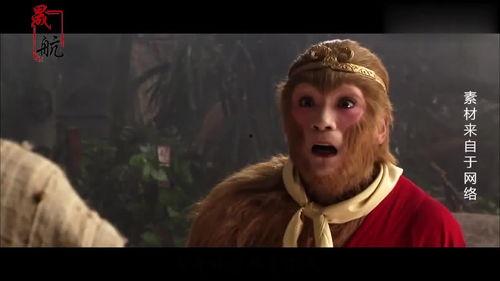 仙人名人爆料大全最新,仙人名人爆料大全，独家内幕大公开！