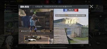 和平最新消息爆料视频,揭秘神秘视频背后的真相